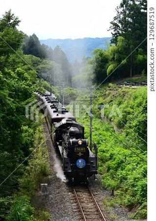 The SL Paleo Express hurtles up a steep slope towards Kagemori Station on the Chichibu Railway. 129687519