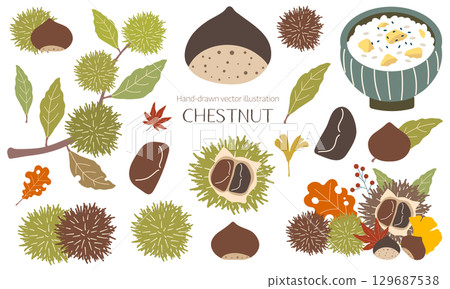 Hand-drawn cute chestnut material set 129687538