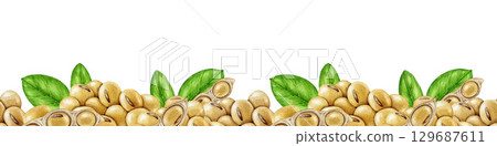 Soybean seamless border decor element watercolor illustration. Hand drawn soy beans with green leaf element. Soya plant natural organic vegan source of protein border element on white background 129687611