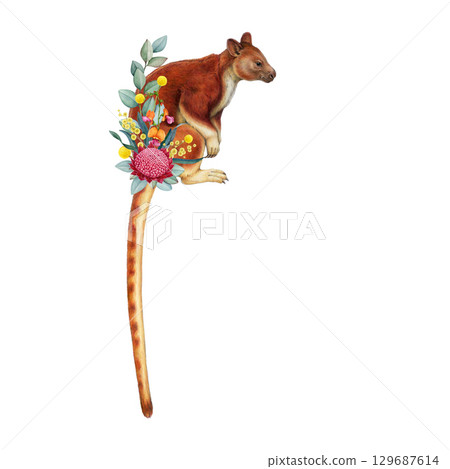 Tree kangaroo with floral decor vintage style hand drawn illustration on white background. Dendrolagus goodfellowi Goodfellow's tree-kangaroo New Guinea marsupial tropical forest mammal portrait Tree kangaroo with floral decor vintage style hand drawn illustration on white background. Dendrolagus goodfellowi Goodfellow's tree-kangaroo New Guinea marsupial tropical forest mammal portrait 129687614