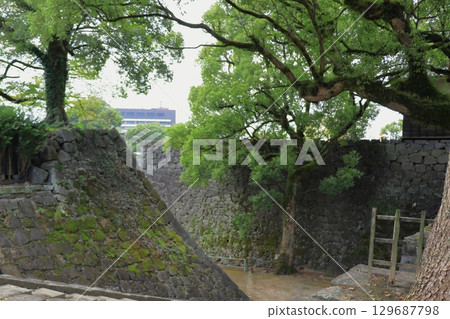 Kumamoto Castle, a place where history and nature coexist in harmony, and associated with Kato Kiyomasa (Kumamoto Prefecture) 129687798