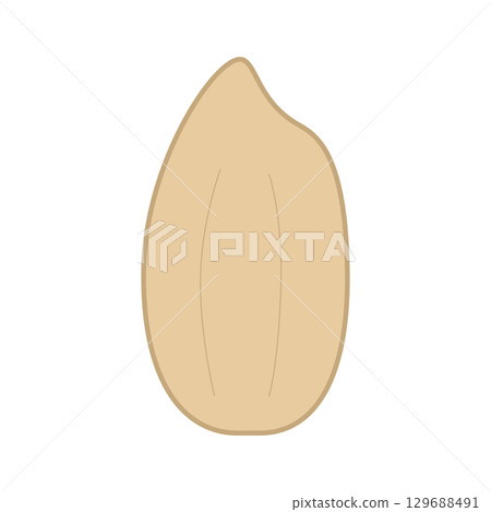 Brown rice illustration color Brown rice illustration color 129688491