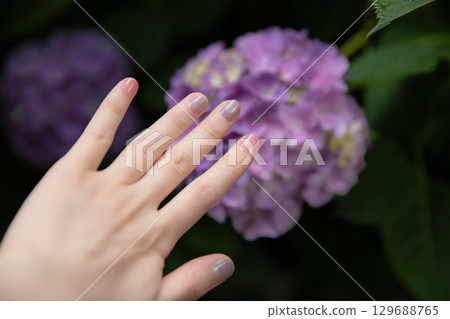 繡球花、指甲和手 繡球花、指甲和手 129688765
