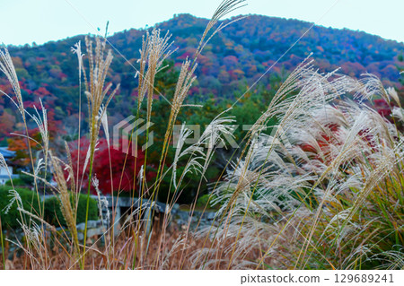 Kyoto Tenryu-ji Pleasure Pond Kyoto Tenryu-ji Pleasure Pond 129689241