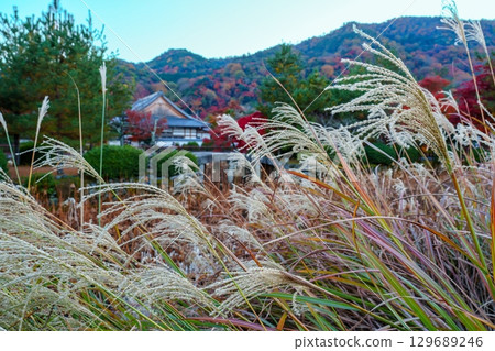 Kyoto Tenryu-ji Pleasure Pond 129689246