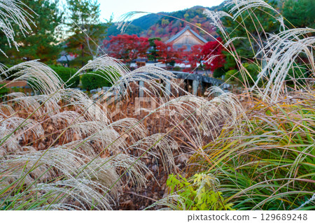 Kyoto Tenryu-ji Pleasure Pond Kyoto Tenryu-ji Pleasure Pond 129689248