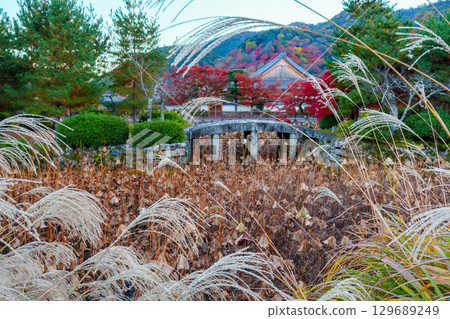 Kyoto Tenryu-ji Pleasure Pond Kyoto Tenryu-ji Pleasure Pond 129689249