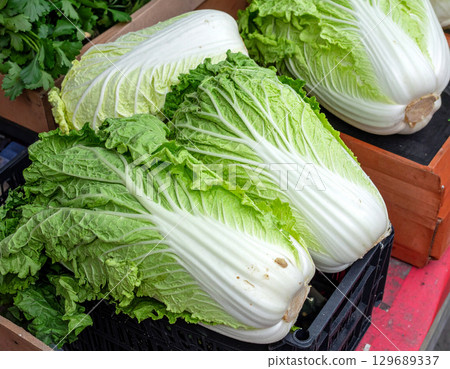 Autumn harvest vegetables (Chinese cabbage, Chinese cabbage) 129689337
