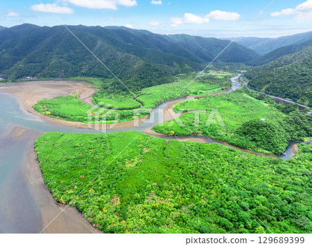 Sumiyo River Mangrove Forest (Amami Oshima, Kagoshima Prefecture) 129689399