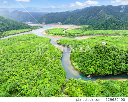 Sumiyo River Mangrove Forest (Amami Oshima, Kagoshima Prefecture) 129689400