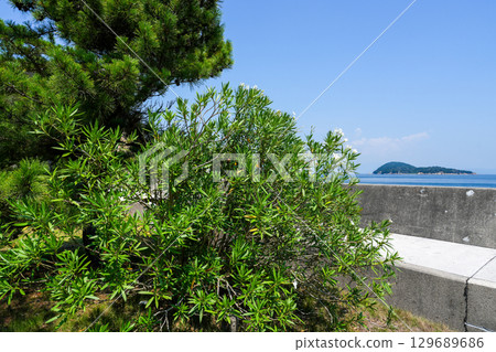 National Sanatorium Oshima Seishoen (an island with a leprosy facility) Venue for the Setouchi Triennale 129689686