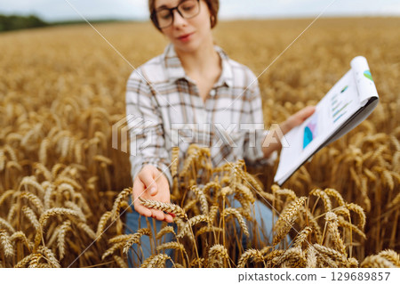 A young woman agronomist in a wheat field with a tablet in her hand checks the field. 129689857