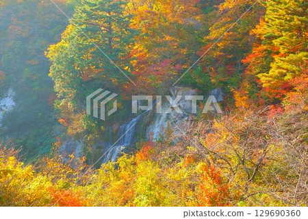 重城山 紅葉川溪谷 紅葉 黃葉 富士花瀑布 129690360