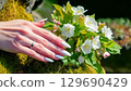 Beautiful female hands 129690429