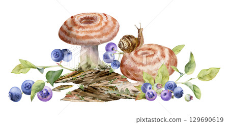Lactarius milk-cap russula striped mushroom, snail on cap, blueberry blackberry berries on bark with moss lichen growth. Nature illustration hand drawn in watercolor. Autumn forest floor ecosystem Lactarius milk-cap russula striped mushroom, snail on cap, blueberry blackberry berries on bark with moss lichen growth. Nature illustration hand drawn in watercolor. Autumn forest floor ecosystem 129690619