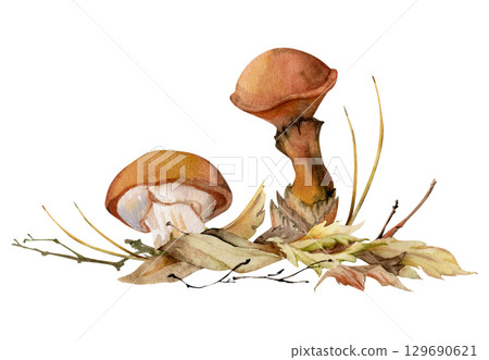 Suillus larch bolete slippery jack mushroom fungus, on top of fallen autumn leaves with twigs needles. Hand drawn watercolor Illustration. Autumn forest floor natural habitat. Books calendars posters 129690621