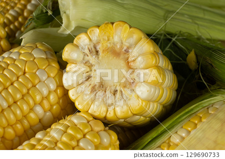 Macro shot of fresh raw corn cobs with green leaves. Macro shot of fresh raw corn cobs with green leaves. 129690733