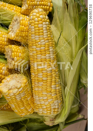 Fresh raw corn cobs close-up with green husks Fresh raw corn cobs close-up with green husks 129690738
