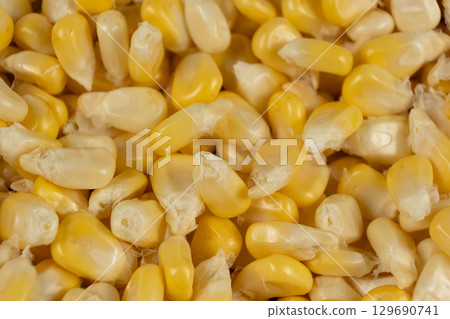 Fresh Raw Corn Kernels Macro Top View Texture Fresh Raw Corn Kernels Macro Top View Texture 129690741