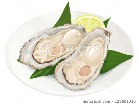Winter is the season! Realistic oysters with lemon 129691310