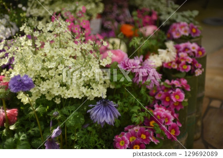 Flowers and mixed plant arrangements 129692089