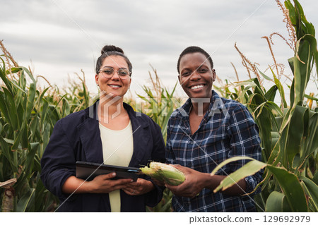 Agronomist and farmer inspecting corn crop with digital tablet 129692979