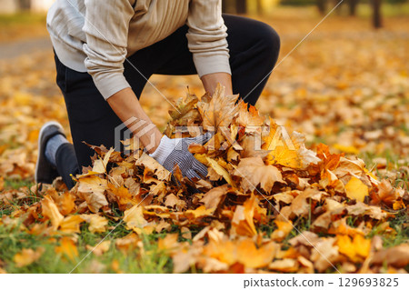 Male hand in gloves collects, piles fallen autumn leaves at sunset. Volunteering, cleaning concept. Male hand in gloves collects, piles fallen autumn leaves at sunset. Volunteering, cleaning concept. 129693825