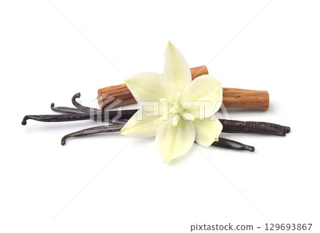 Vanilla pods with vanilla flower on white backgrounds Vanilla pods with vanilla flower on white backgrounds 129693867