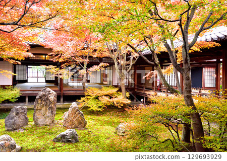 Autumn leaves in Choon Garden in the main courtyard of Kenninji Temple 129693929