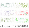 尤加利、薰衣草、迷迭香、茶樹、天竺葵和薄荷精油插圖 129694001