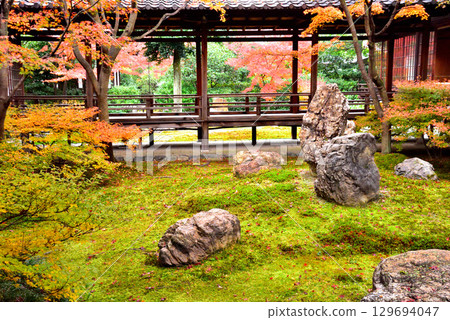 Autumn leaves in Choon Garden in the main courtyard of Kenninji Temple 129694047