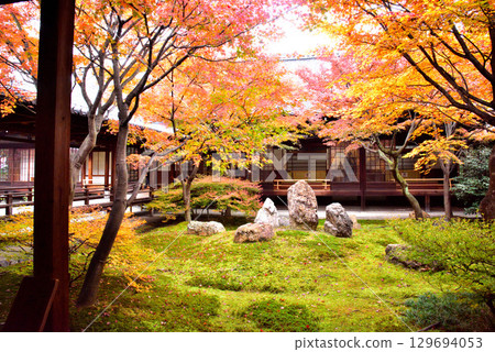 Autumn leaves in Choon Garden in the main courtyard of Kenninji Temple Autumn leaves in Choon Garden in the main courtyard of Kenninji Temple 129694053
