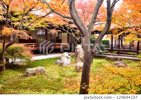 Autumn leaves in Choon Garden in the main courtyard of Kenninji Temple 129694187
