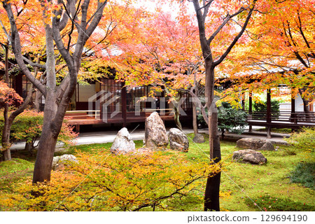 建仁寺主庭院 Choon 花園的秋葉 129694190