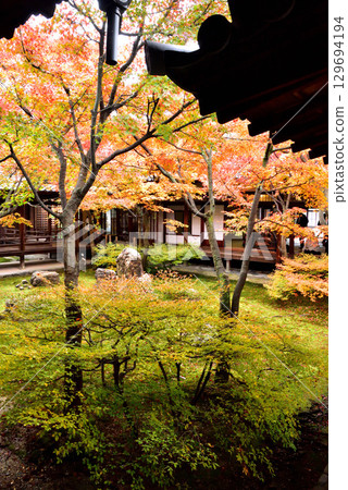 建仁寺主庭院 Choon 花園的秋葉 129694194