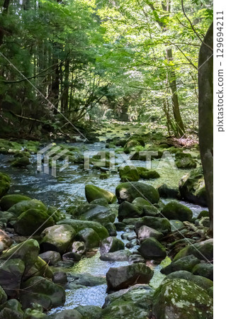 A clear stream surrounded by trees near Otome Falls in Nasu, Tochigi Prefecture 129694211