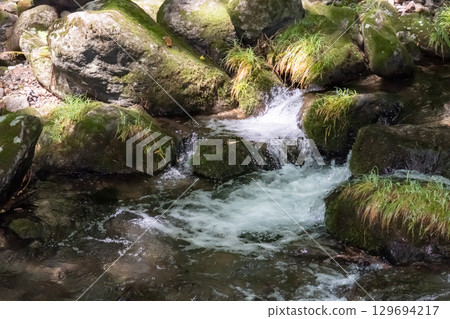 A clear stream surrounded by trees near Otome Falls in Nasu, Tochigi Prefecture 129694217