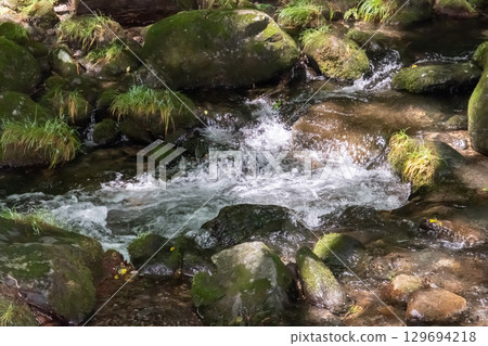A clear stream surrounded by trees near Otome Falls in Nasu, Tochigi Prefecture 129694218