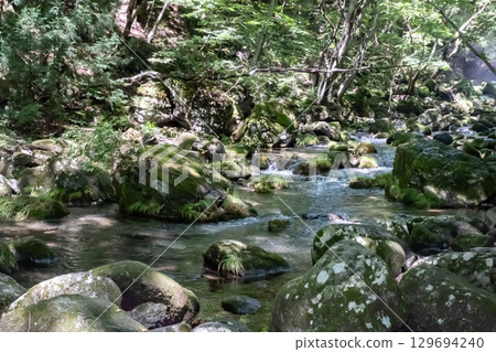A clear stream surrounded by trees near Otome Falls in Nasu, Tochigi Prefecture A clear stream surrounded by trees near Otome Falls in Nasu, Tochigi Prefecture 129694240