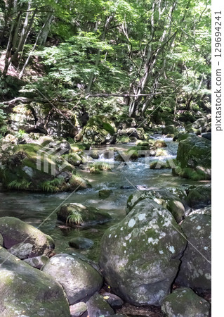 A clear stream surrounded by trees near Otome Falls in Nasu, Tochigi Prefecture 129694241