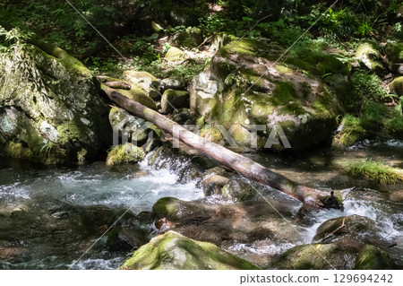 A clear stream surrounded by trees near Otome Falls in Nasu, Tochigi Prefecture A clear stream surrounded by trees near Otome Falls in Nasu, Tochigi Prefecture 129694242