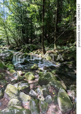 A clear stream surrounded by trees near Otome Falls in Nasu, Tochigi Prefecture A clear stream surrounded by trees near Otome Falls in Nasu, Tochigi Prefecture 129694247