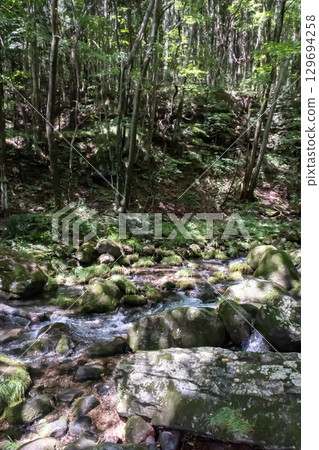 A clear stream surrounded by trees near Otome Falls in Nasu, Tochigi Prefecture 129694258
