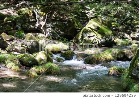 A clear stream surrounded by trees near Otome Falls in Nasu, Tochigi Prefecture 129694259
