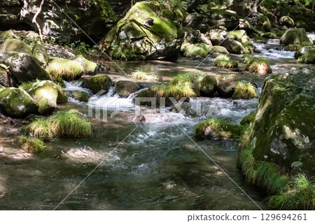 A clear stream surrounded by trees near Otome Falls in Nasu, Tochigi Prefecture 129694261