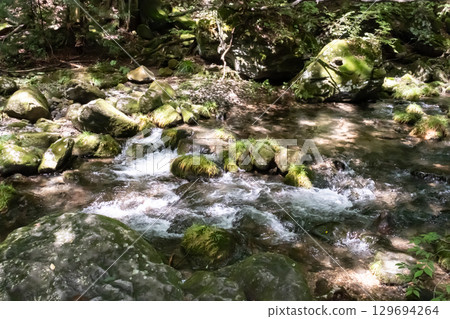 A clear stream surrounded by trees near Otome Falls in Nasu, Tochigi Prefecture A clear stream surrounded by trees near Otome Falls in Nasu, Tochigi Prefecture 129694264