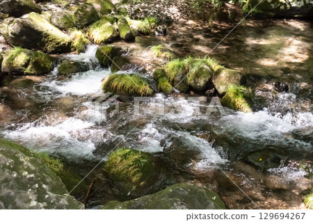 栃木縣那須市乙女瀑布附近，一條被樹木環繞的清澈小溪 129694267