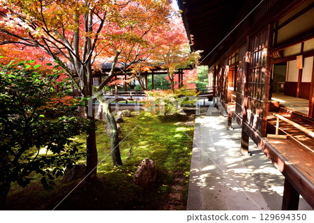 建仁寺主庭院 Choon 花園的秋葉 建仁寺主庭院 Choon 花園的秋葉 129694350