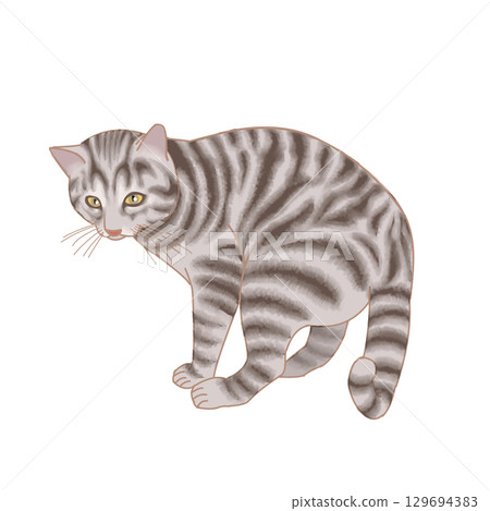 Cat Cat 129694383