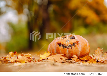 Traditional pumpkin as jack o'lantern, autumn fallen leaves lie on the park. Halloween greeting card Traditional pumpkin as jack o'lantern, autumn fallen leaves lie on the park. Halloween greeting card 129694670